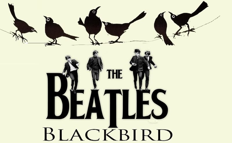 Blackbird the Beatles